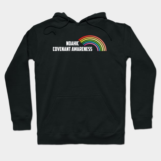 Rainbow Noahic Covenant Awareness Christian Shirt Hoodie by Terry With The Word